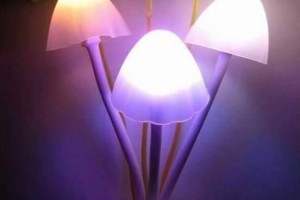 Đèn Led hình nấm - VNHN002