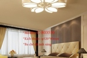 Đèn ốp trần trang trí VNC-803550