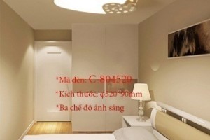 Đèn ốp trần trang trí VNC-804520