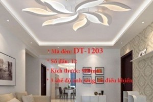 Đèn ốp trần trang trí VN-DT-1203