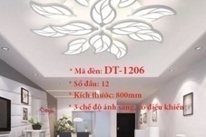 Đèn ốp trần trang trí VN-DT-1206