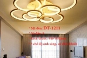 Đèn ốp trần trang trí VN-DT-1211