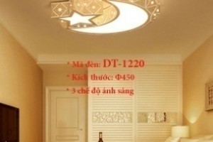Đèn ốp trần trang trí VN-DT-1220