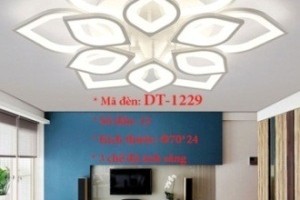 Đèn ốp trần trang trí VN-DT-1229
