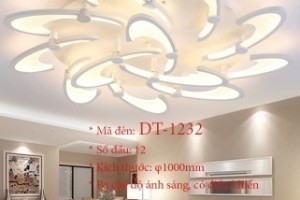 Đèn ốp trần trang trí VN-DT-1232