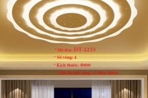 Đèn ốp trần trang trí VN-DT-1233