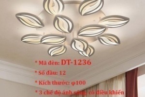 Đèn ốp trần trang trí VN-DT-1236