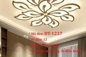 Đèn ốp trần trang trí VN-DT-1237