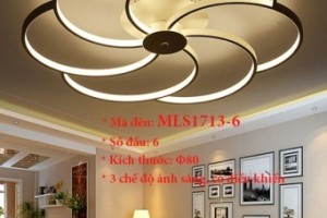 Đèn ốp trần trang trí VN-MLS1713-6