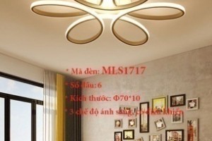 Đèn ốp trần trang trí VN-MLS1717