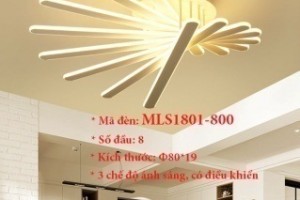 Đèn ốp trần trang trí VN-MLS1801-800